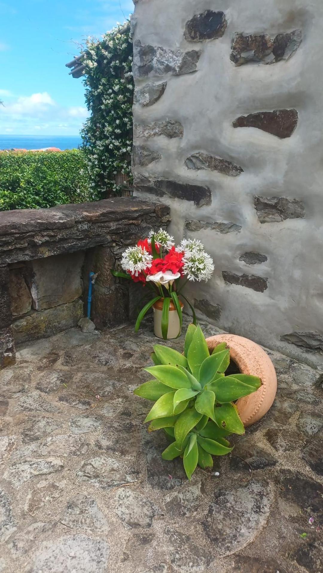 Casas Da Quinta *